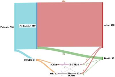 Early outcomes of moderate-to-high-risk pediatric congenital cardiac surgery and predictors of extracorporeal circulatory life support requirement